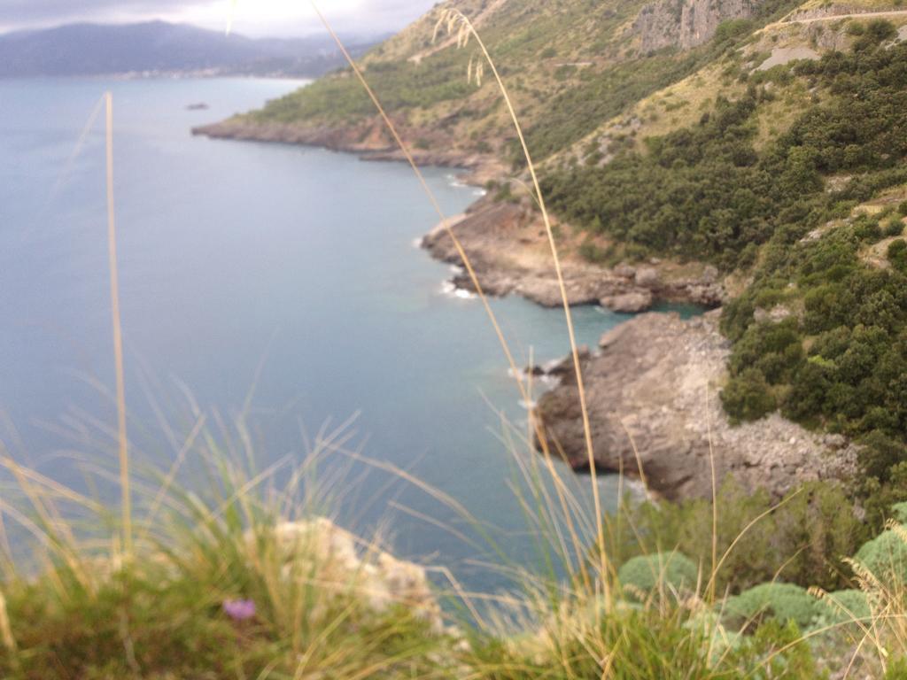 B&B Calandrella Maratea Eksteriør billede