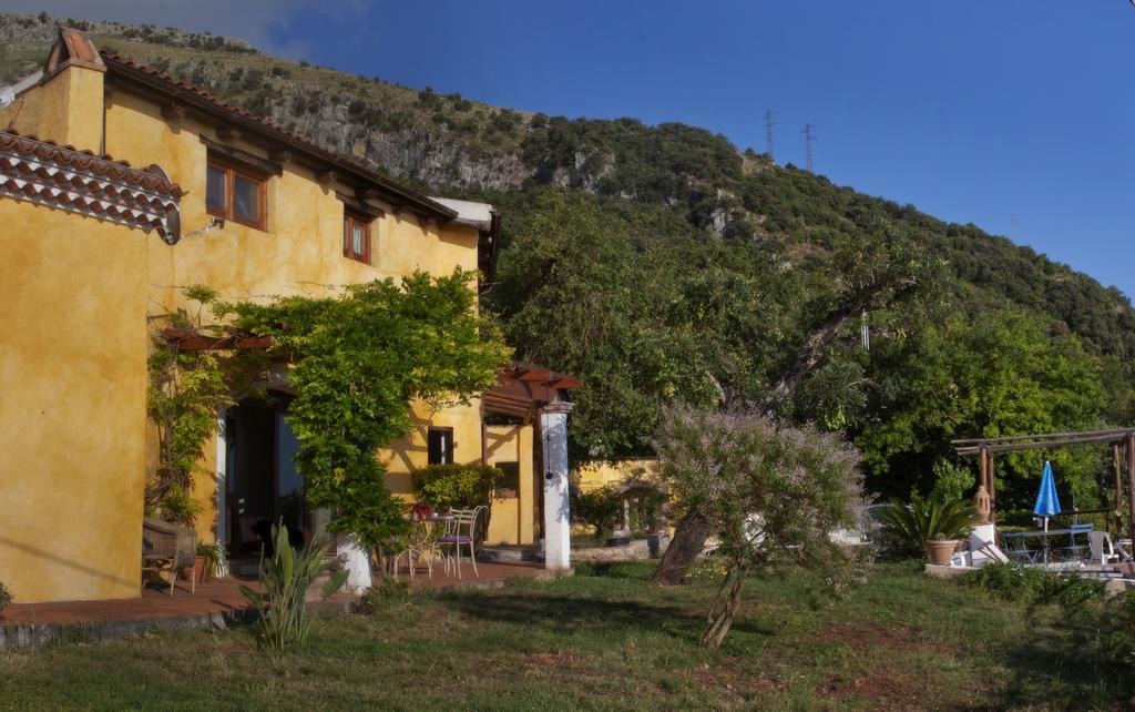 B&B Calandrella Maratea Eksteriør billede