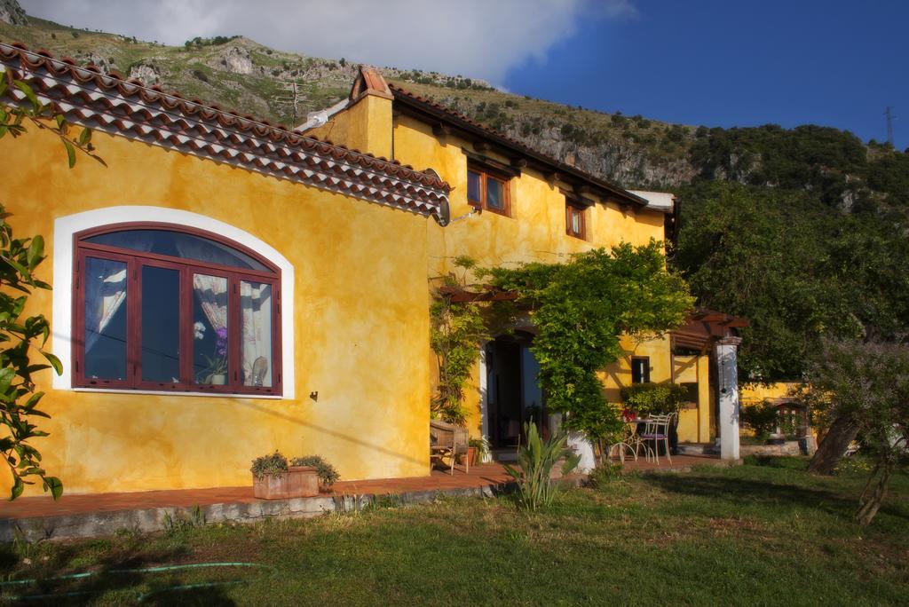 B&B Calandrella Maratea Værelse billede