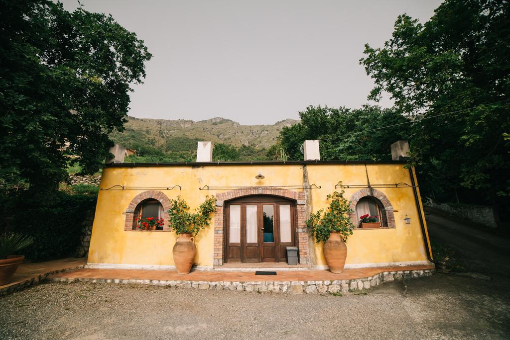 B&B Calandrella Maratea Eksteriør billede