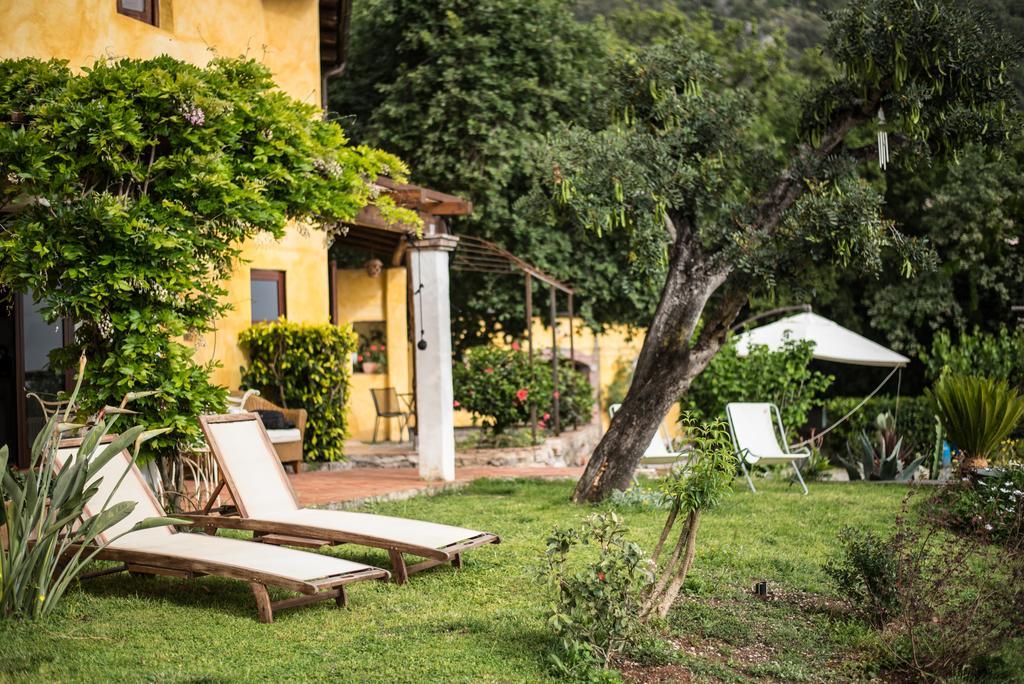 B&B Calandrella Maratea Eksteriør billede