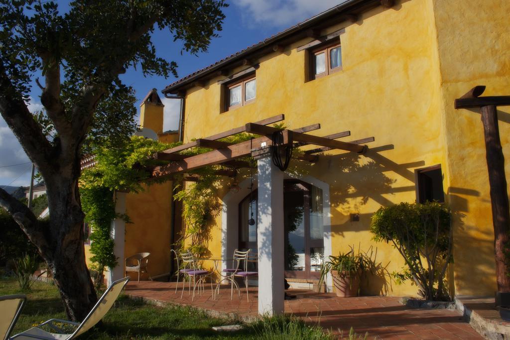B&B Calandrella Maratea Eksteriør billede