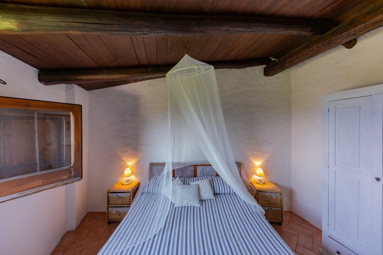 B&B Calandrella Maratea Eksteriør billede
